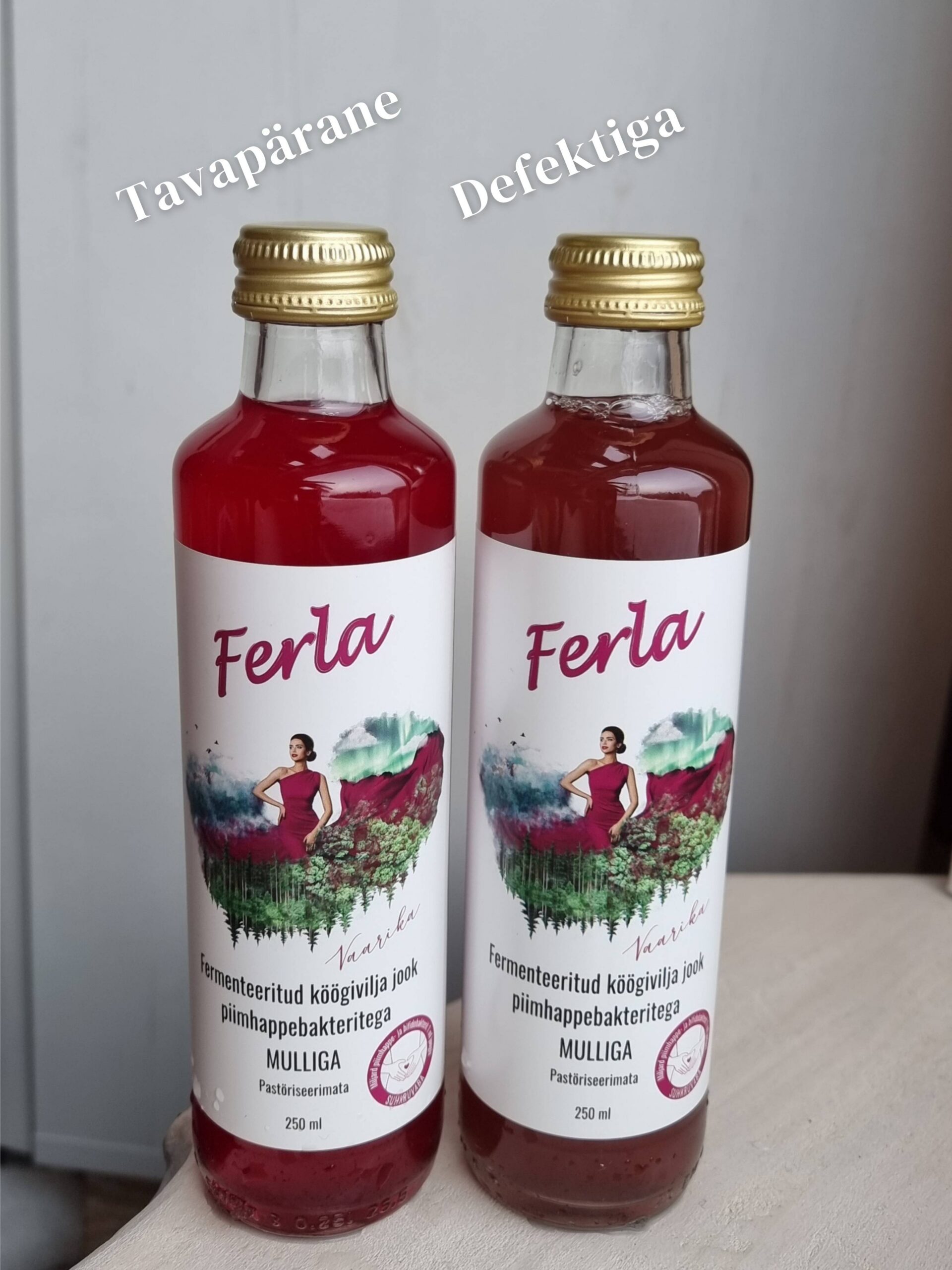 DEFEKTIGA! Ferla köögivilja jook vaarika ja mulliga klaaspudelis 20 x 250 ml SOODUS - Image 3